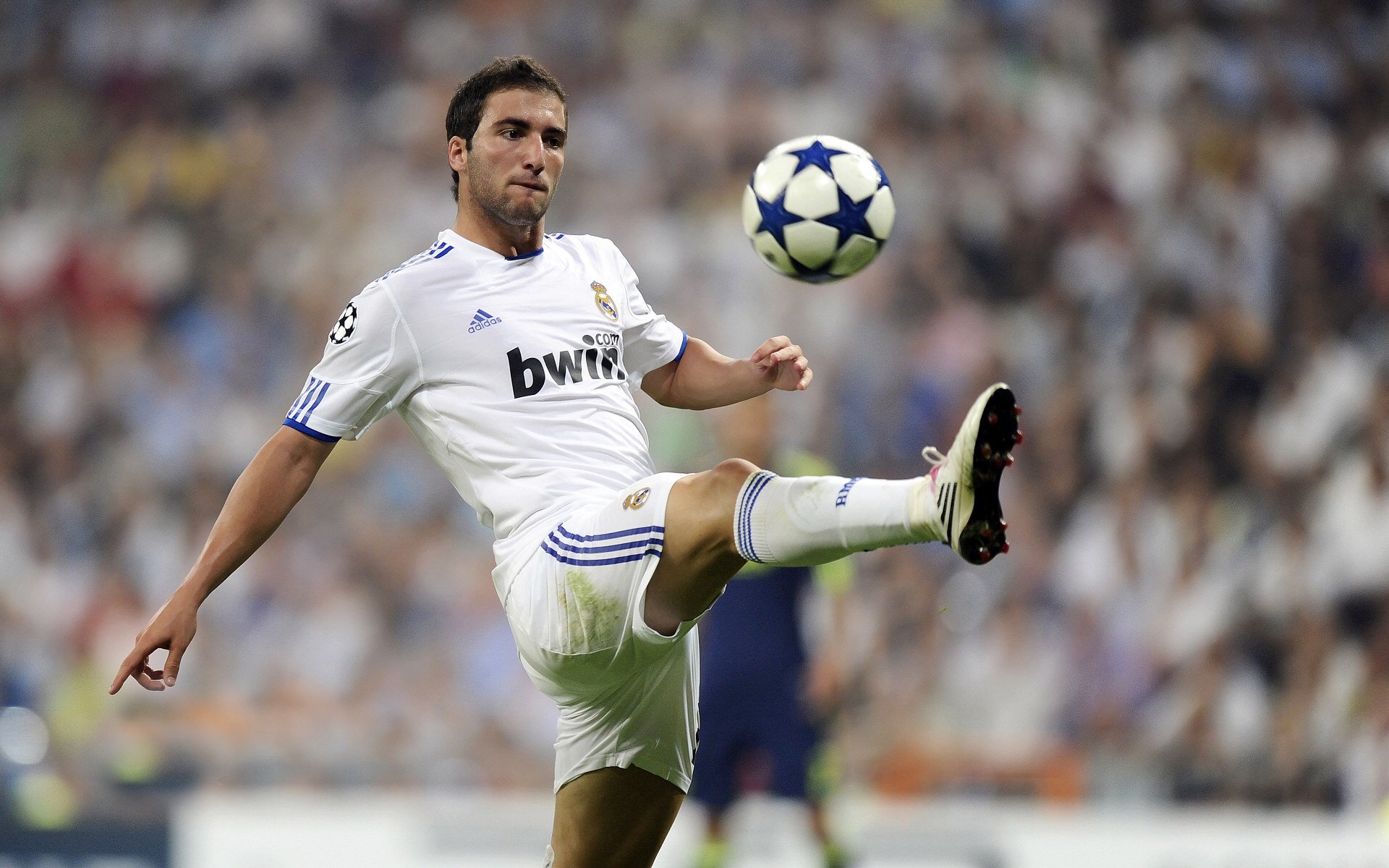 乔·波尔曼稳定发挥，帮助袋鼠队巩固防线与进攻