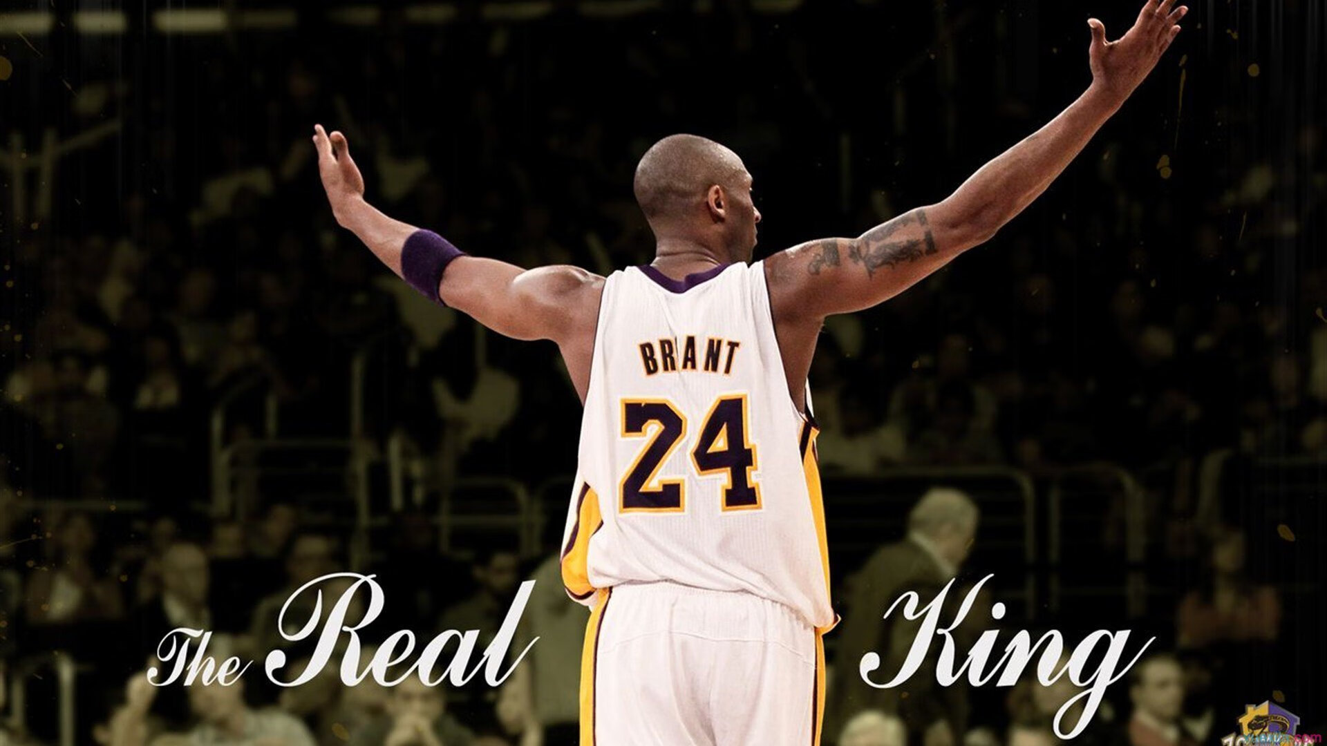 巴尔：全黑队中场的“中场指挥官”，他精准的球场洞察力为队友创造机会