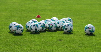 弗莱堡能否爆冷逼平多特？，佛莱堡对多特